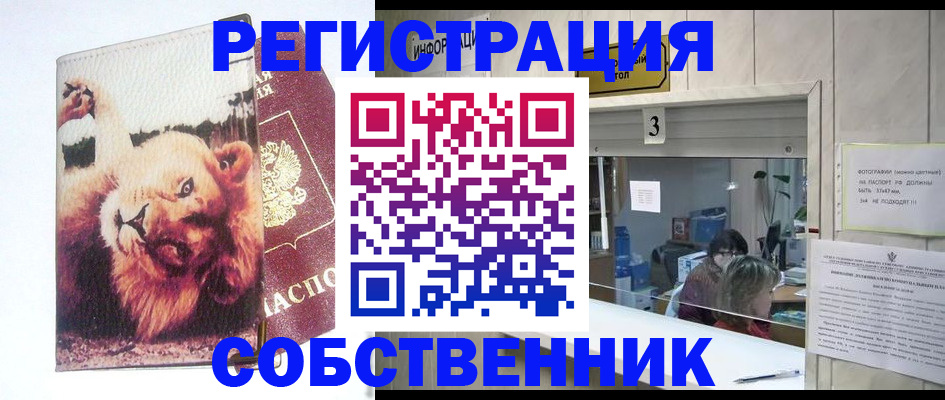 прописка поиск в Шуе